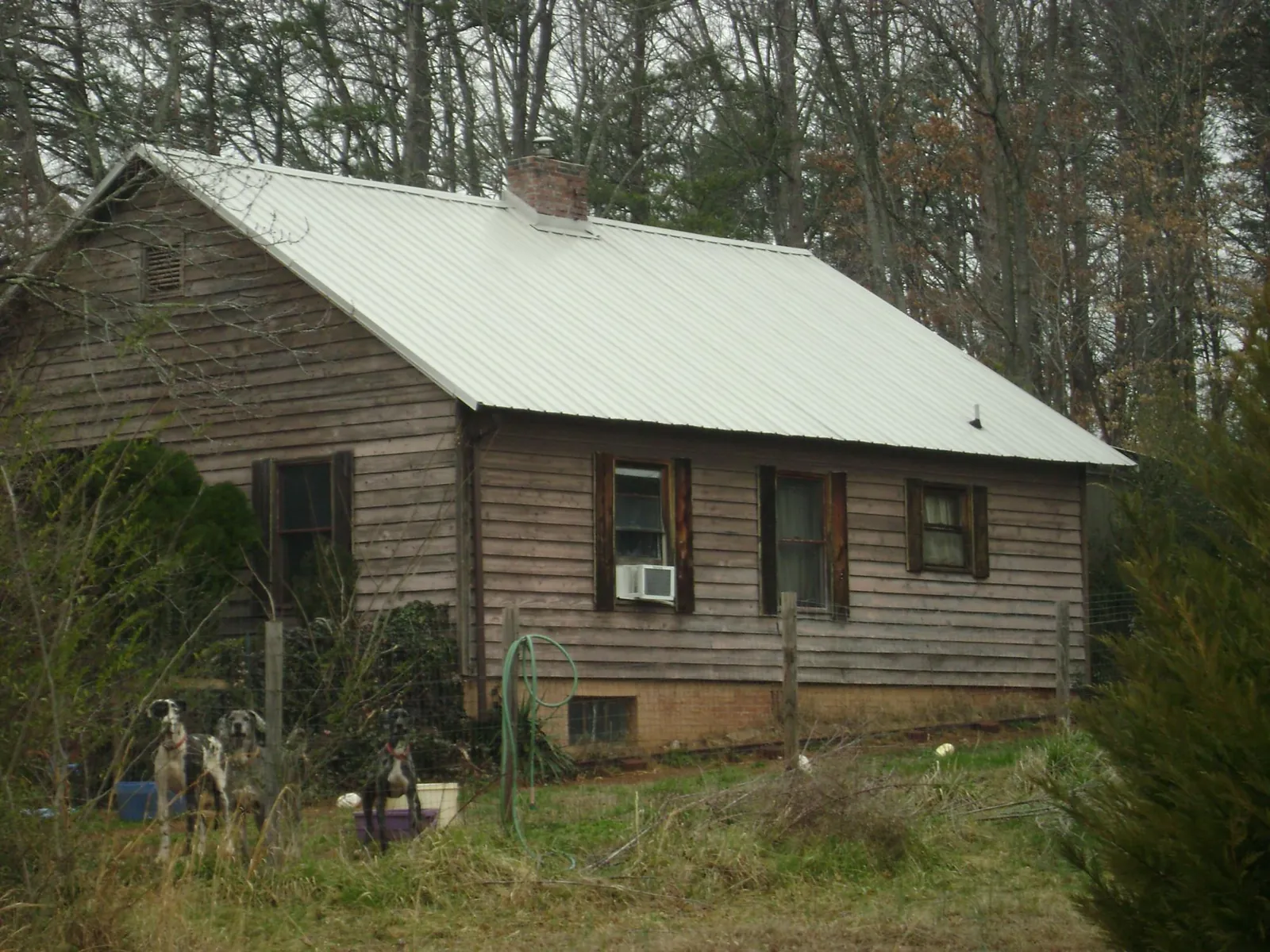 White metal roof on an old wood sided farmhouse, from a Asphalt Shingle Roof Repair job in Fort Shaw